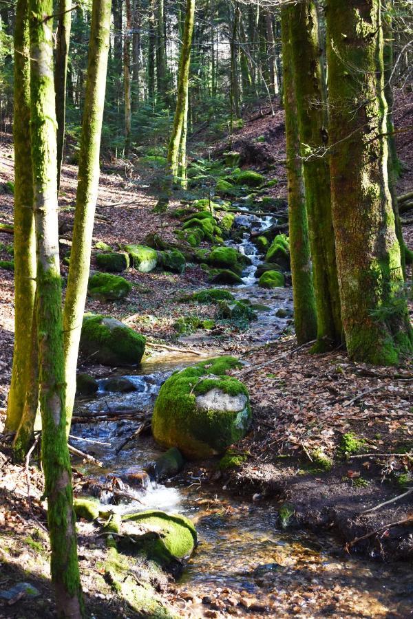 "La Vieille Grange", Au Coeur De La Nature Laveline-du-Houx Kültér fotó